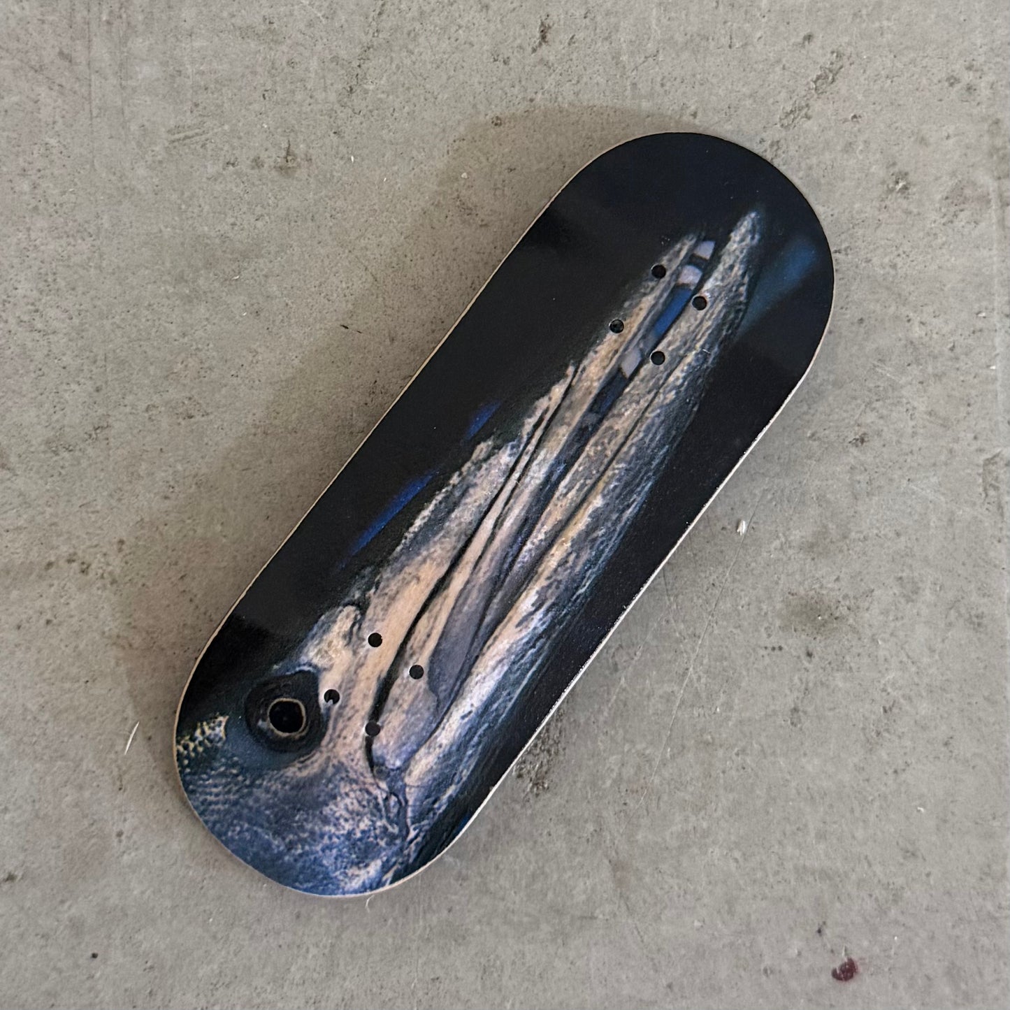 Catfish BBQ 34mm freshwater deep